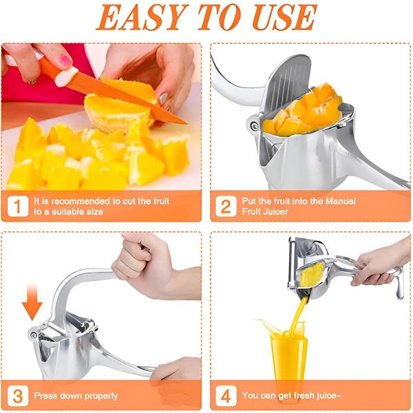 p1amTCLR_2x