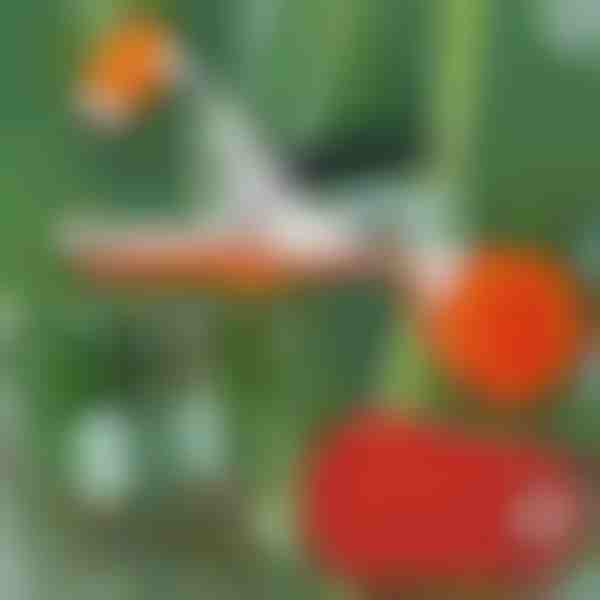 Kiire taimede sidumise tööriist | PLANTBRAND