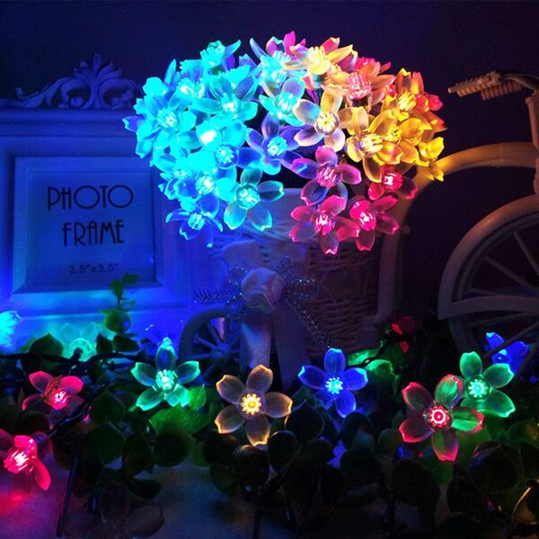 DAISYGLOW