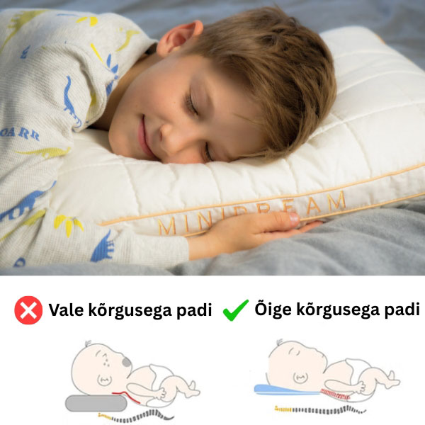 MINIDREAM