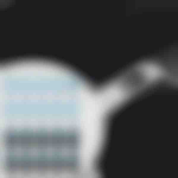 Veebikaamera privaatsuskate liuguriga (20 tk) | CAMCOV