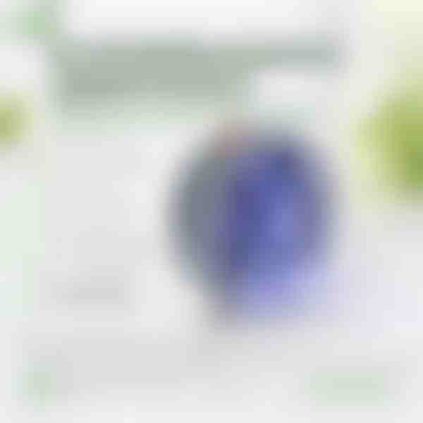 Päikeseenergial töötav akna putukapüüdja - UV-valgus, 8h tööaeg | BUZZORA